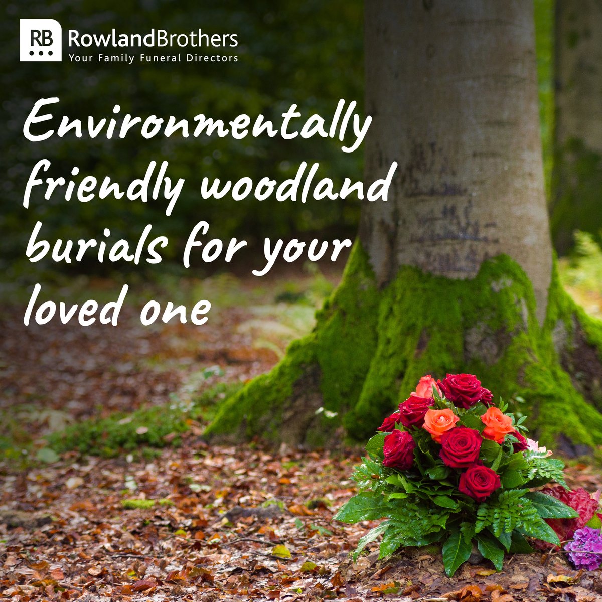 RBfunerals's tweet photo. Honouring loved ones and the planet with every farewell💚 

Our eco-friendly funerals offer a gentle, sustainable path to saying goodbye. Let's celebrate lives lived and nurture the Earth together. 

Find out more: https://t.co/ycwI2vmHEH 

#EcoFuneral #SustainableLiving #GoGreen https://t.co/HoyzT38X1h