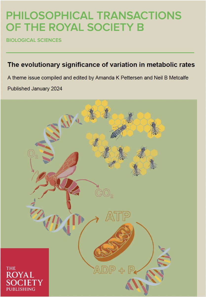 Thrilled to see our @PhilTransB theme issue on variation in metabolic rates published today! 🔥
…ing-org.ezproxy.library.sydney.edu.au/toc/rstb/2024/…
A thread on the contributed papers:
1/8
