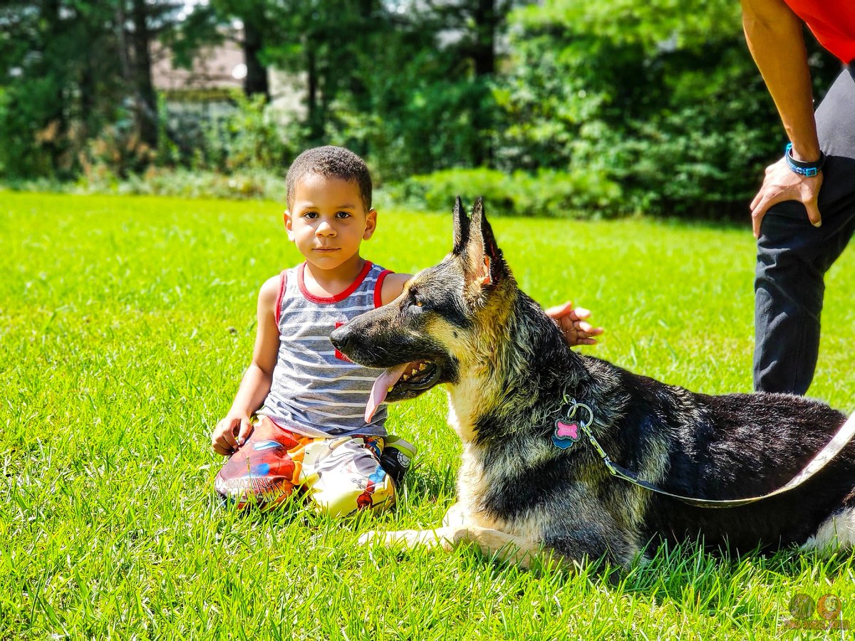 dragonchi1971's tweet photo. She's the ONE that I'll always cherish. #Korra is the BEST #GERMANSHEPHERD I've ever had!❤️ https://t.co/t0w0FMG7rn
