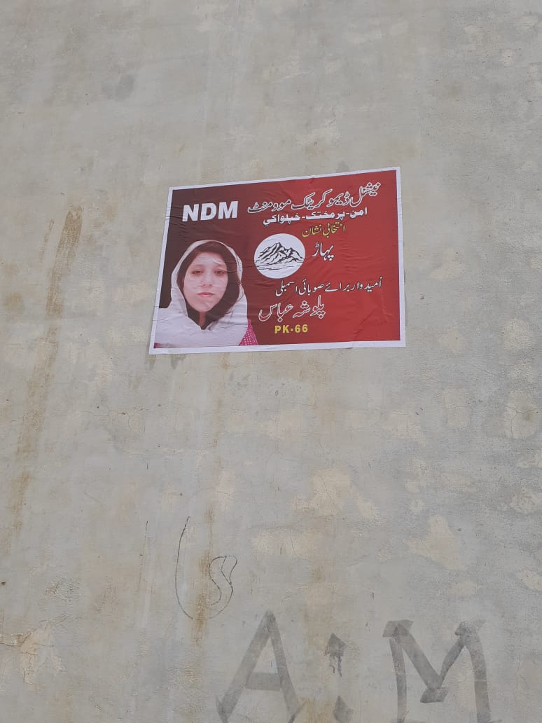 Palwasha_Abbas's tweet photo. Posters displayed at #Pk66 #Shabqadar different localities
#VoteForMountain
#Vote4NDM 
# https://t.co/aH8ySBIpKS