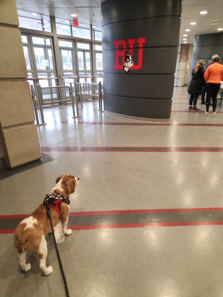 Baileyruel2025's tweet photo. Thank you so much to @TerrierSoftball and @HarvardSB for an amazing camp this weekend! All the attending coaches were very knowledgeable. Thank you to Coach Waters and Coach Carden for taking time to speak with me afterwards. #collegesoftball #baileyruelsoftball #busoftball https://t.co/dJ1DRYWCeB