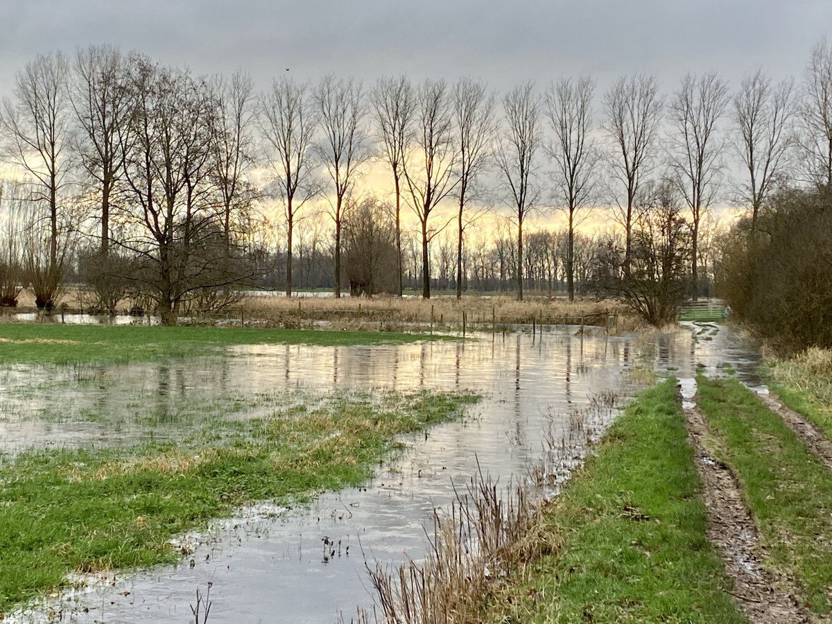 OpPADinVL's tweet photo. Een heerlijk frisse wandeling met de eerste laag ijs op het water. 
#wandelen #Brugge https://t.co/GJuo7ot4Ak
