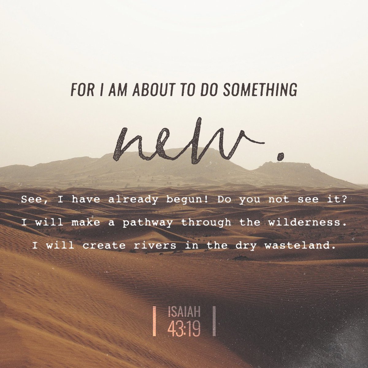CalhounLynne's tweet photo. “Forget the former things; do not dwell on the past. See, I am doing a new thing! Now it springs up; do you not perceive it? I am making a way in the wilderness and streams in the wasteland.
Isaiah 43:18-19 NIV

https://t.co/TIEfYkQAAC https://t.co/v4SCEI1kVx