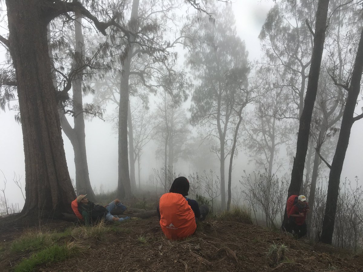 sendalgoreng's tweet photo. @Widino yg deket jakarta bisa ke pulau tidung ada beberapa spot pantai yg banyak pepohonan tapi ganyimpen fotonya https://t.co/NmT7lYvO1u