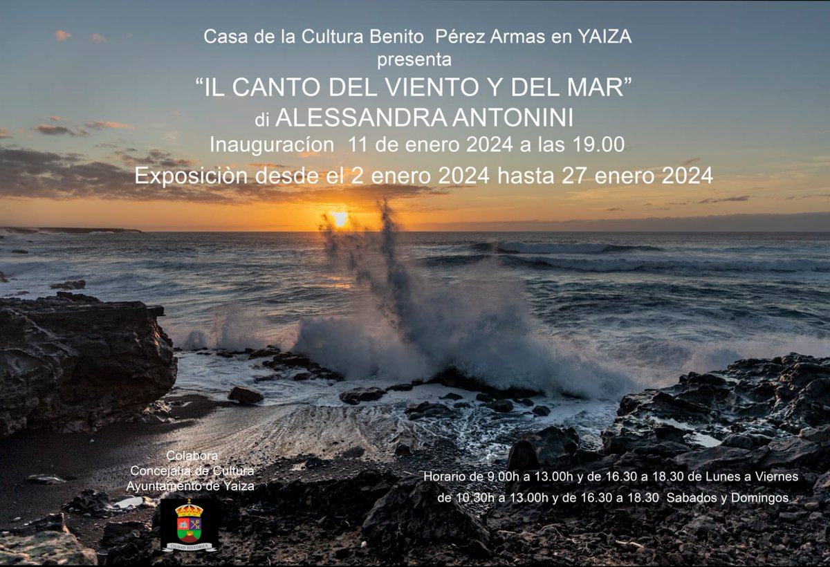 oscarnoda tweet media