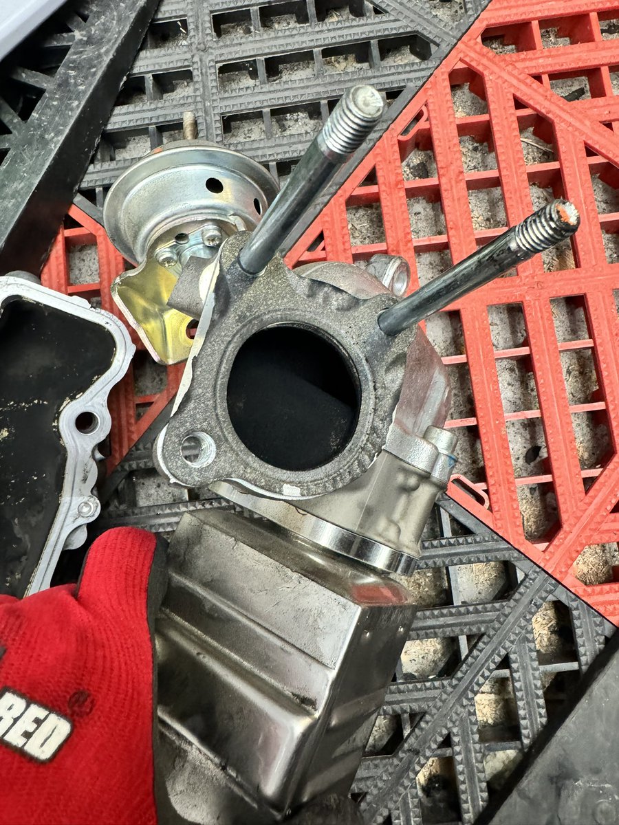 06BASE Factory tweet media