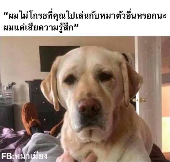 rcha_pku's tweet photo. https://t.co/fh9e2NkxNn