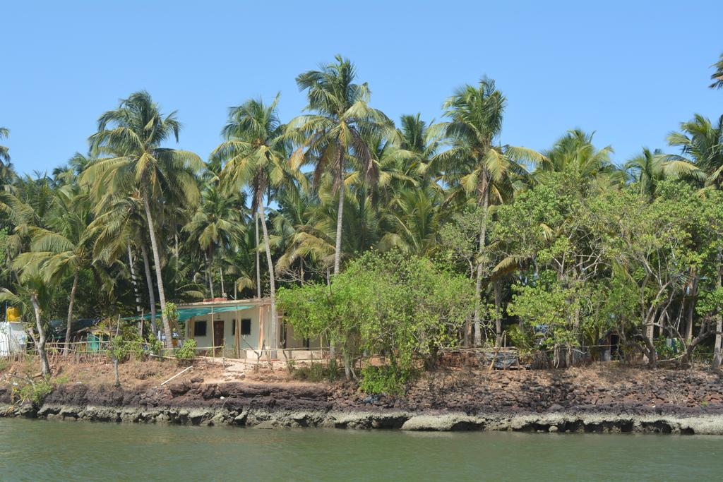 Rohan_Khandare2's tweet photo. @virendersehwag Yes, Bharat is blessed with many such a beautiful places.
Anti-India comment will not be tolerated. we are one as a Nation 🇮🇳🇮🇳 
M for Malvan not Maldiv 👆👆 #BycottMaldives #MaldivesOut 
Explore konkan,Maharashtra region for stunning beaches 🌊 https://t.co/Z645whqvD4