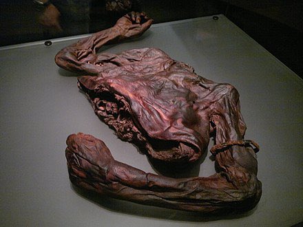 The well-preserved torso of 'Old Croghan Man,' an Iron Age bog body discovered in Ireland, dates back over 2,000 years, with an estimated death between 362 BC and 175 BC. The body, found decapitated and cut in half, is on display in the National Museum of Ireland in Dublin.