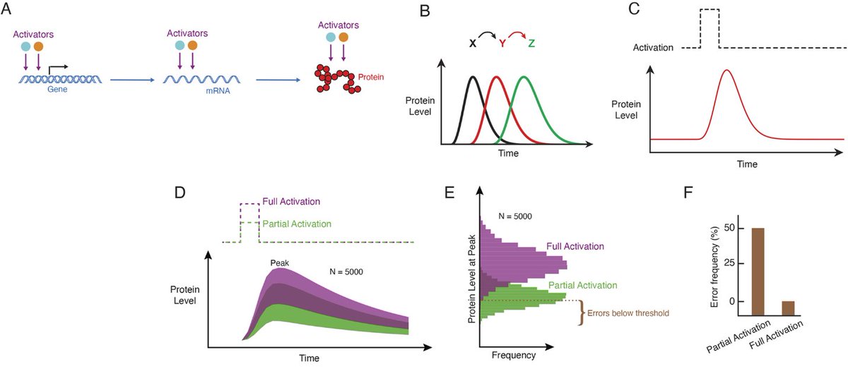 Development tweet media