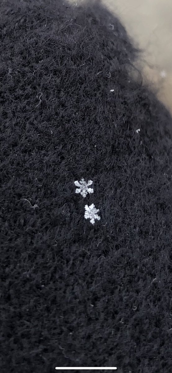 UnePeteSec's tweet image. Non mais SubhanAllah regardez la beauté des flocons ?????????????