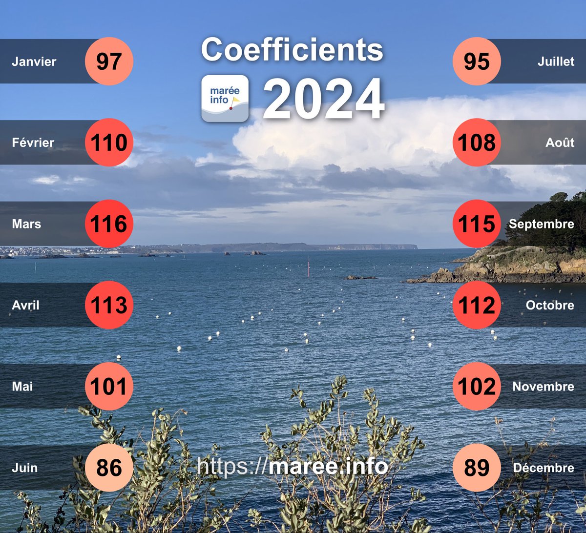 maree.info tweet media