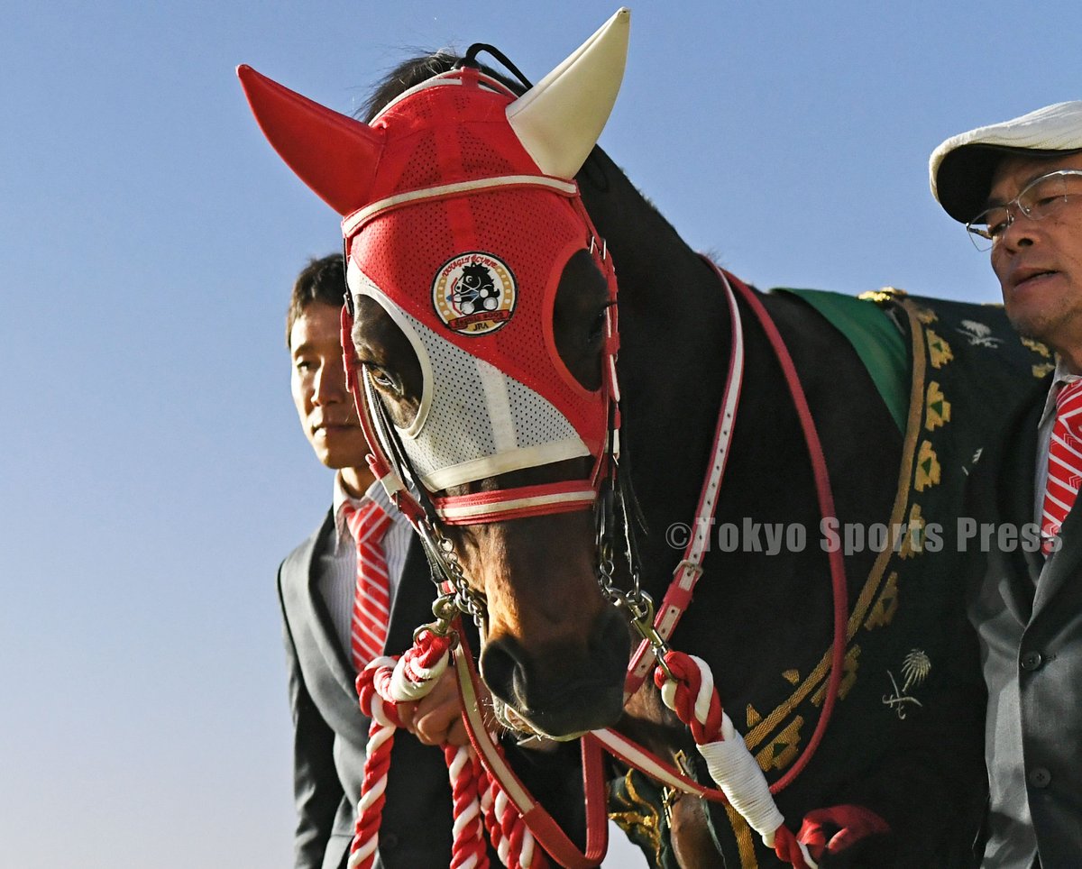 H*K様 オークション　非売品 競馬　矢作厩舎　パンサラッサ　キャップ 2026年最新】Yahoo!オークション -競馬 厩舎(競馬)の中古品・新品・未