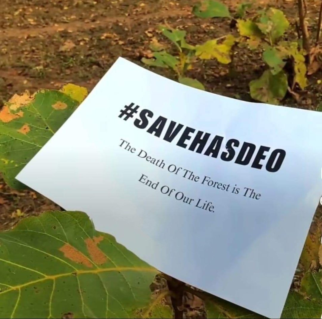 The death of the forest is the end of our life. #SaveHasdeo