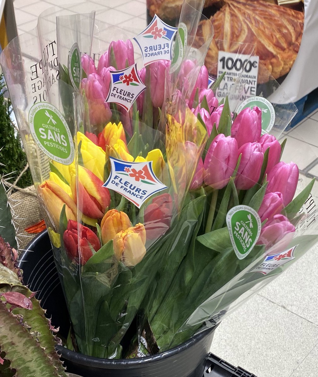 j'avais oublié c'est la saison de mes fleurs préférées, je vais me les offrir toute seule