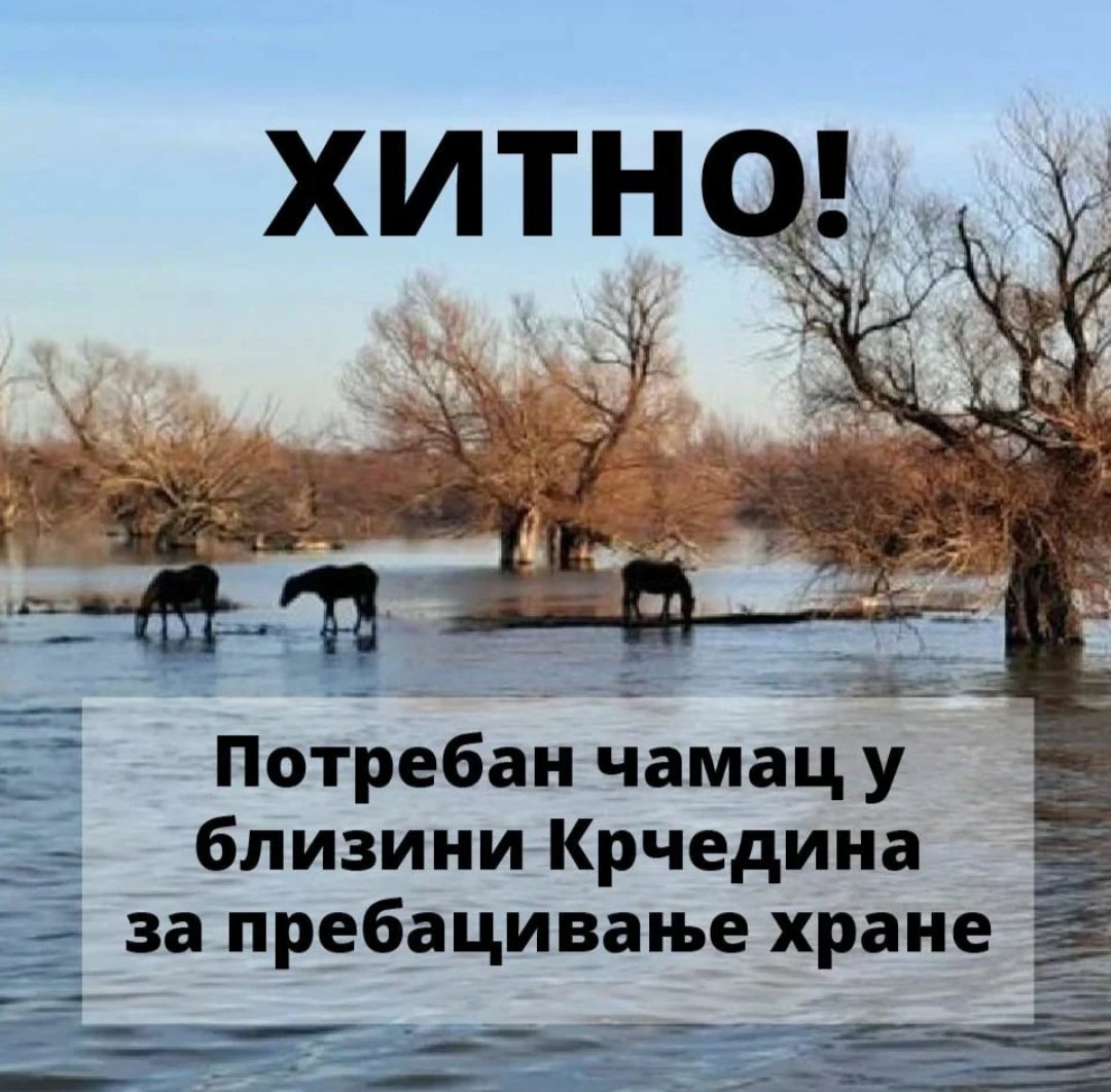 Ljudi molim vas podelite ovo!

Tražimo čamac u okolini Krčedina, potrebno je da se prebaci hrana konjima i stoci koji su ostali zaglavljeni na Krčedinskoj adi.

Trenutno se nalazi veći broj životinja zaglavljeno, tražimo skelu, ali prioritet je životinjama odneti hranu.