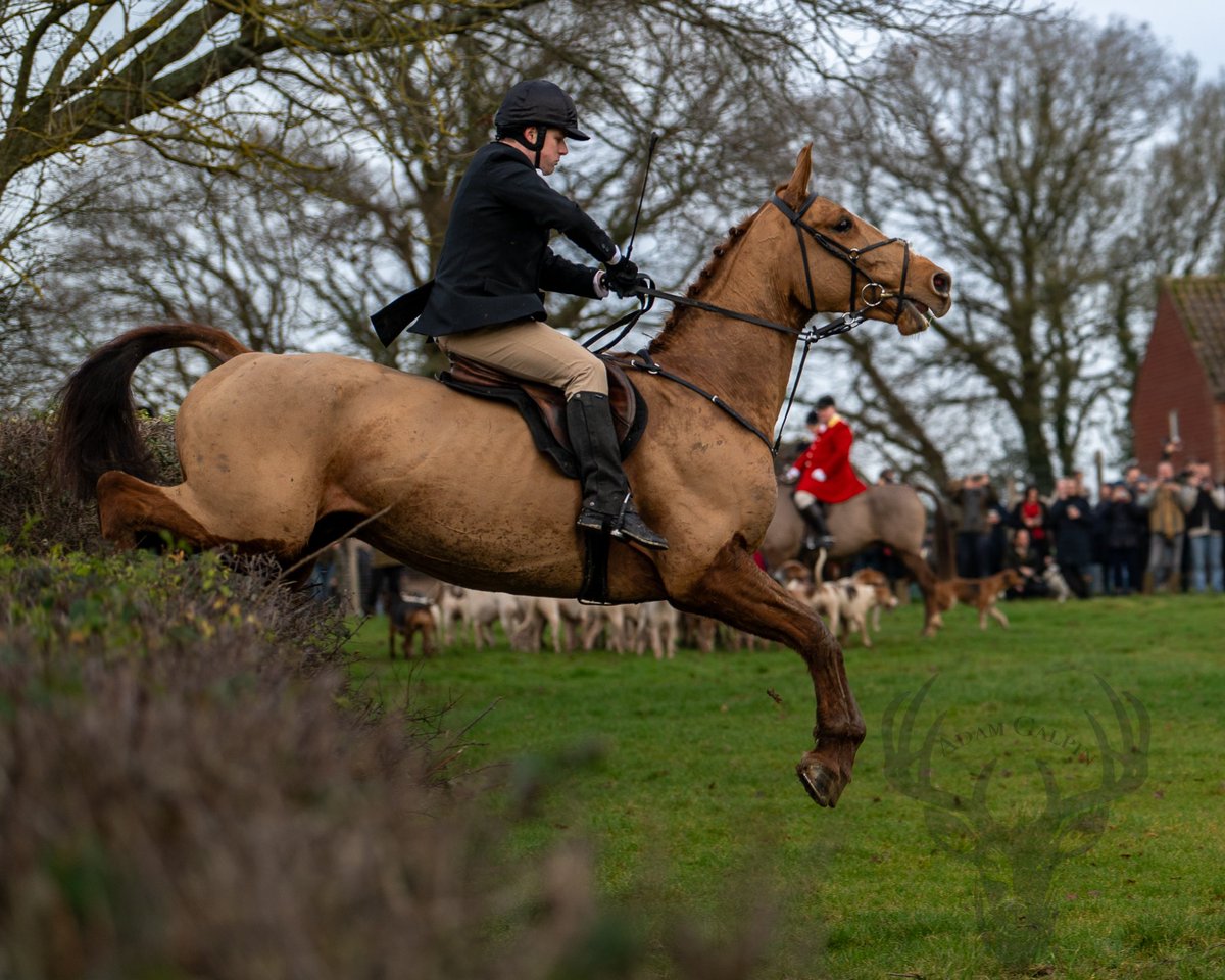 lurcherwork's tweet photo. #boxingdaymeet #trailhunting #houndsports #followhounds #houndproud https://t.co/ikXfv0M5wE