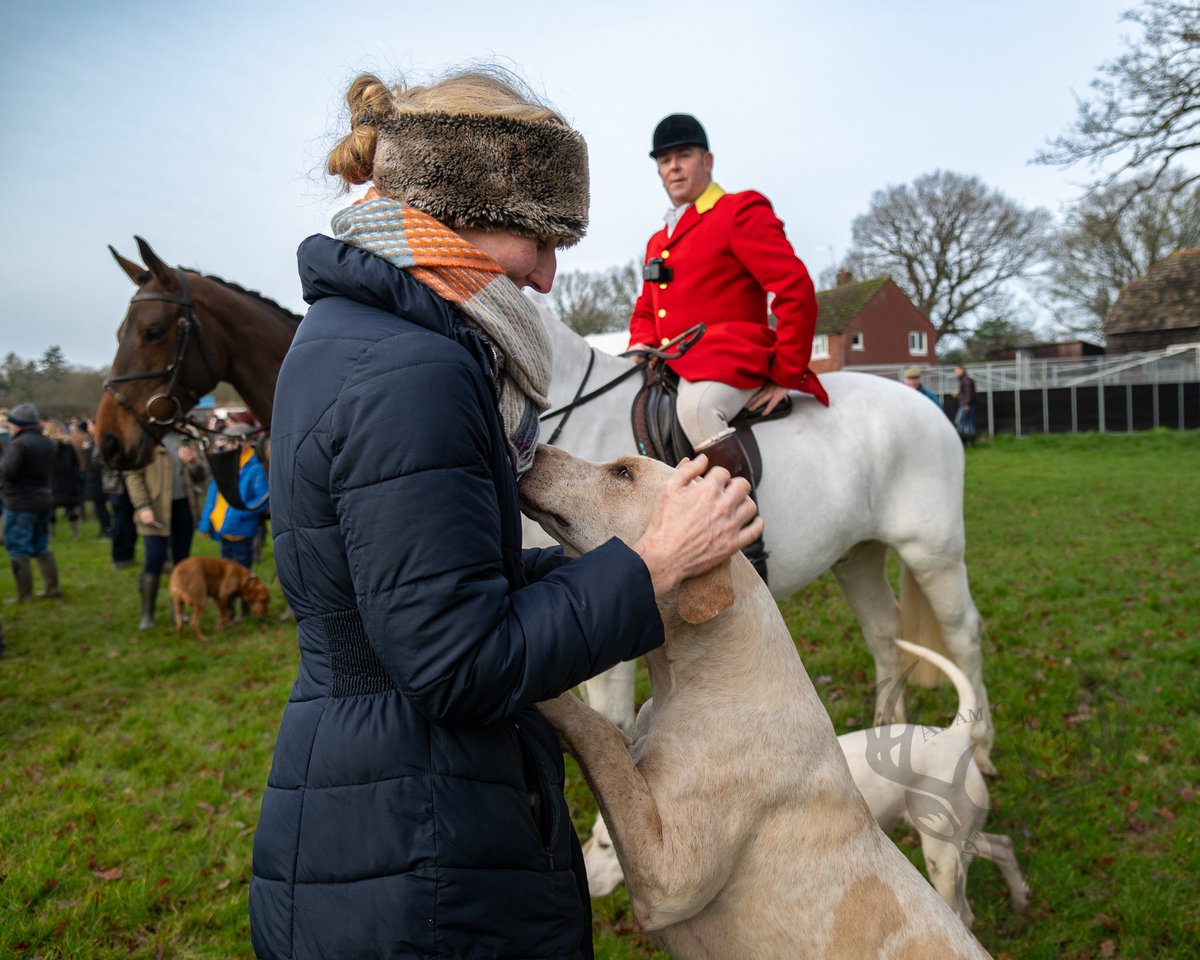 lurcherwork's tweet photo. #boxingdaymeet #trailhunting #houndsports #followhounds #houndproud https://t.co/ikXfv0M5wE