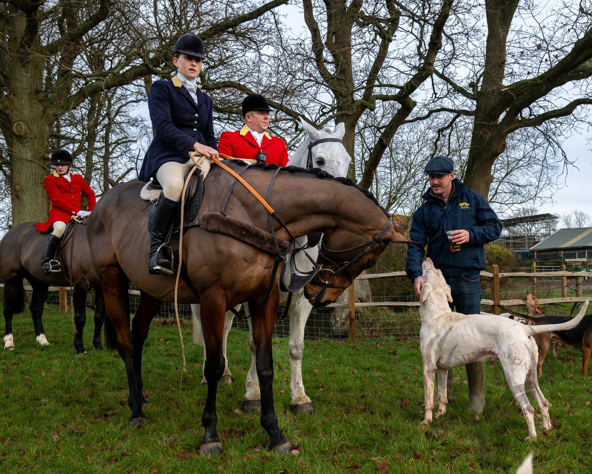 lurcherwork's tweet photo. #boxingdaymeet #trailhunting #houndsports #followhounds #houndproud https://t.co/ikXfv0M5wE