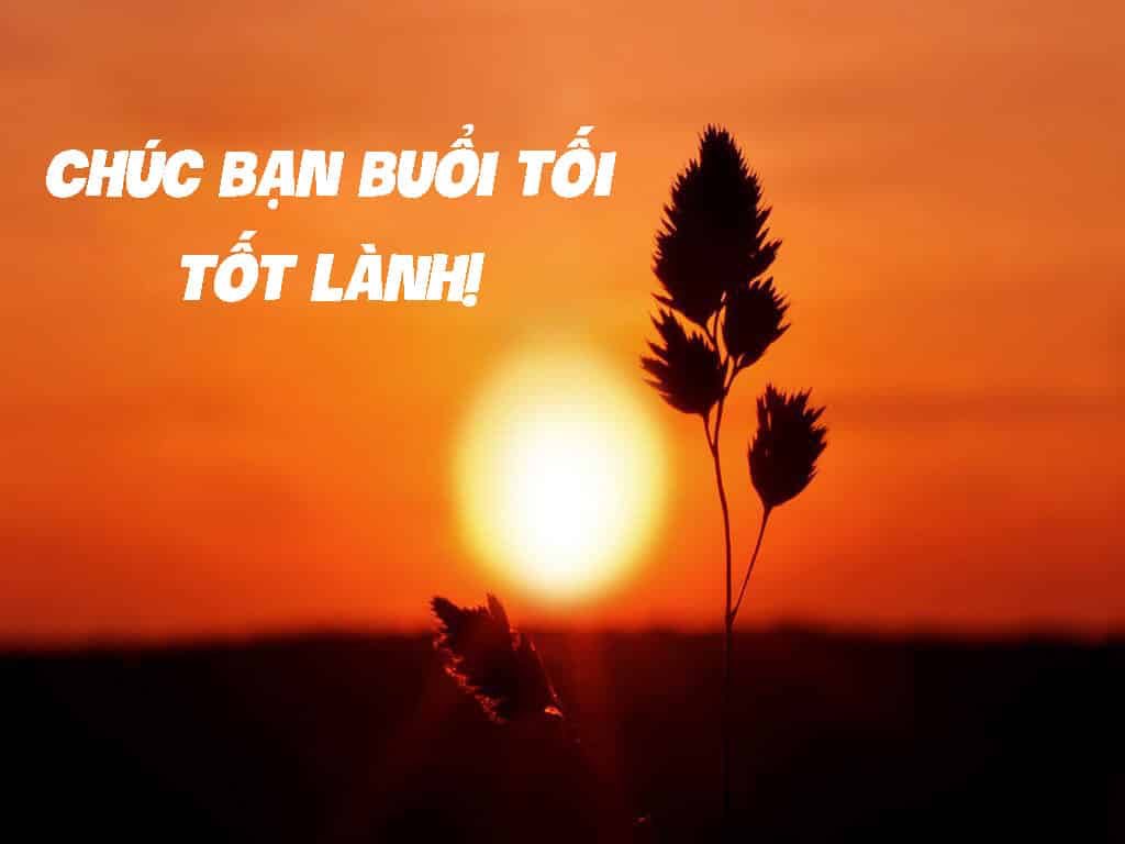 ThaiNgoc Tran tweet media