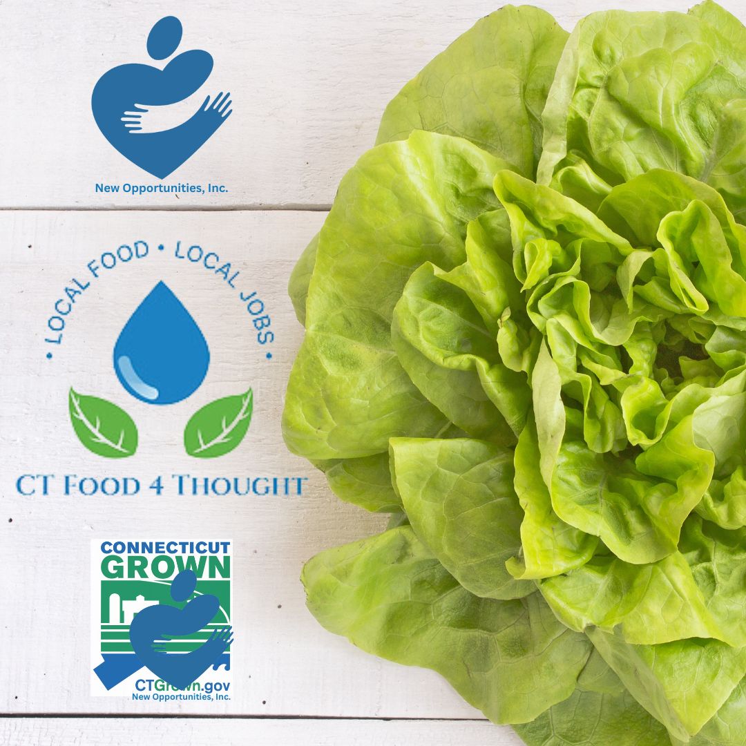 🍃 We're proud to offer the freshest lettuce in Connecticut, grown locally with a focus on sustainability. 

Our growing methods allow us to produce healthy greens while significantly reducing the environmental impact. 

#EcoFriendlyEating #SustainableCT