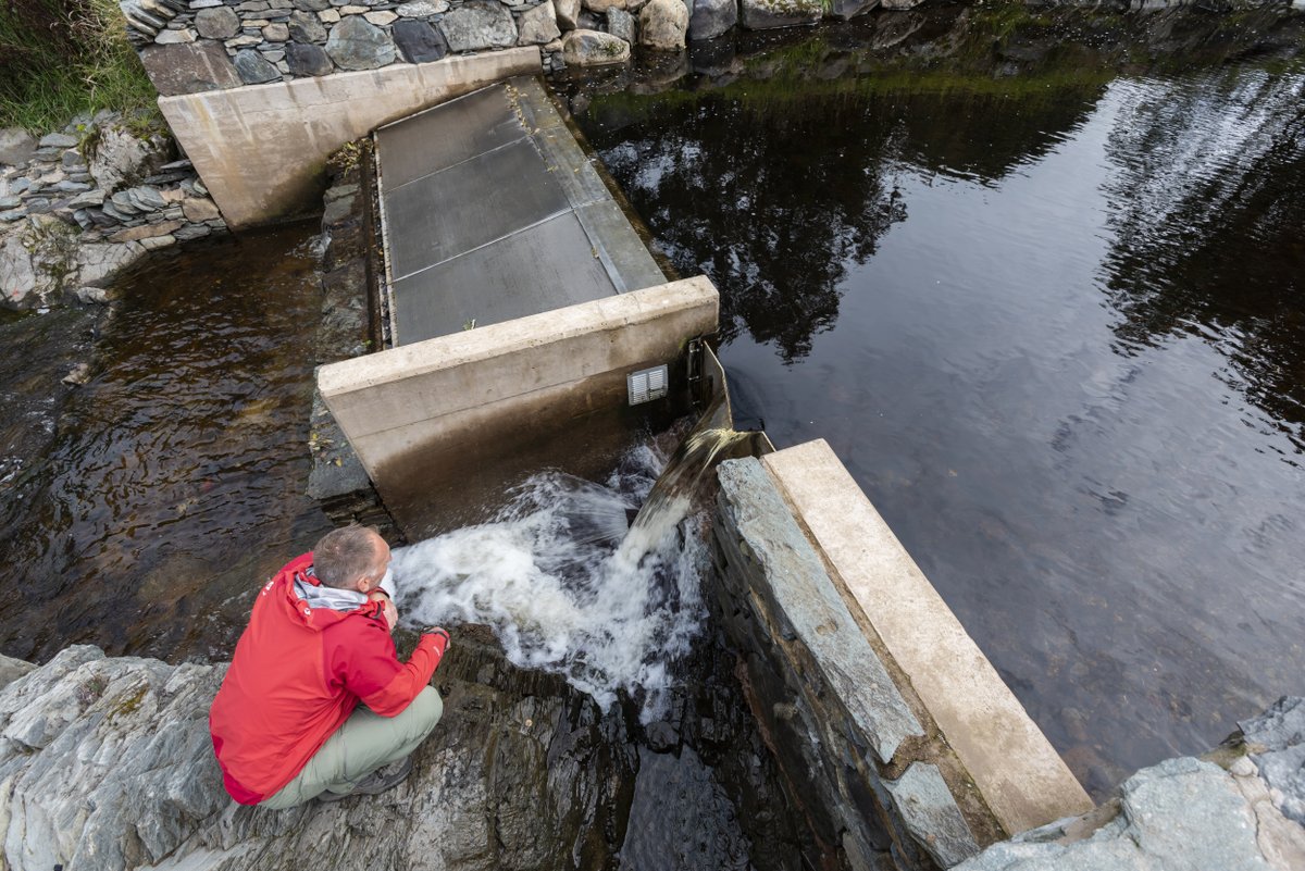 We've now reached our target to generate 50 per cent of our own energy from renewable sources.

This follows an ambitious scheme set up in 2013 to grow our own energy supply and reduce our use of fossil fuels.

From mountain hydros in the fast-flowing streams of the Lake District
