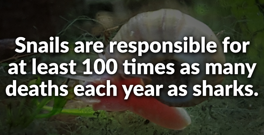 Factinate tweet media