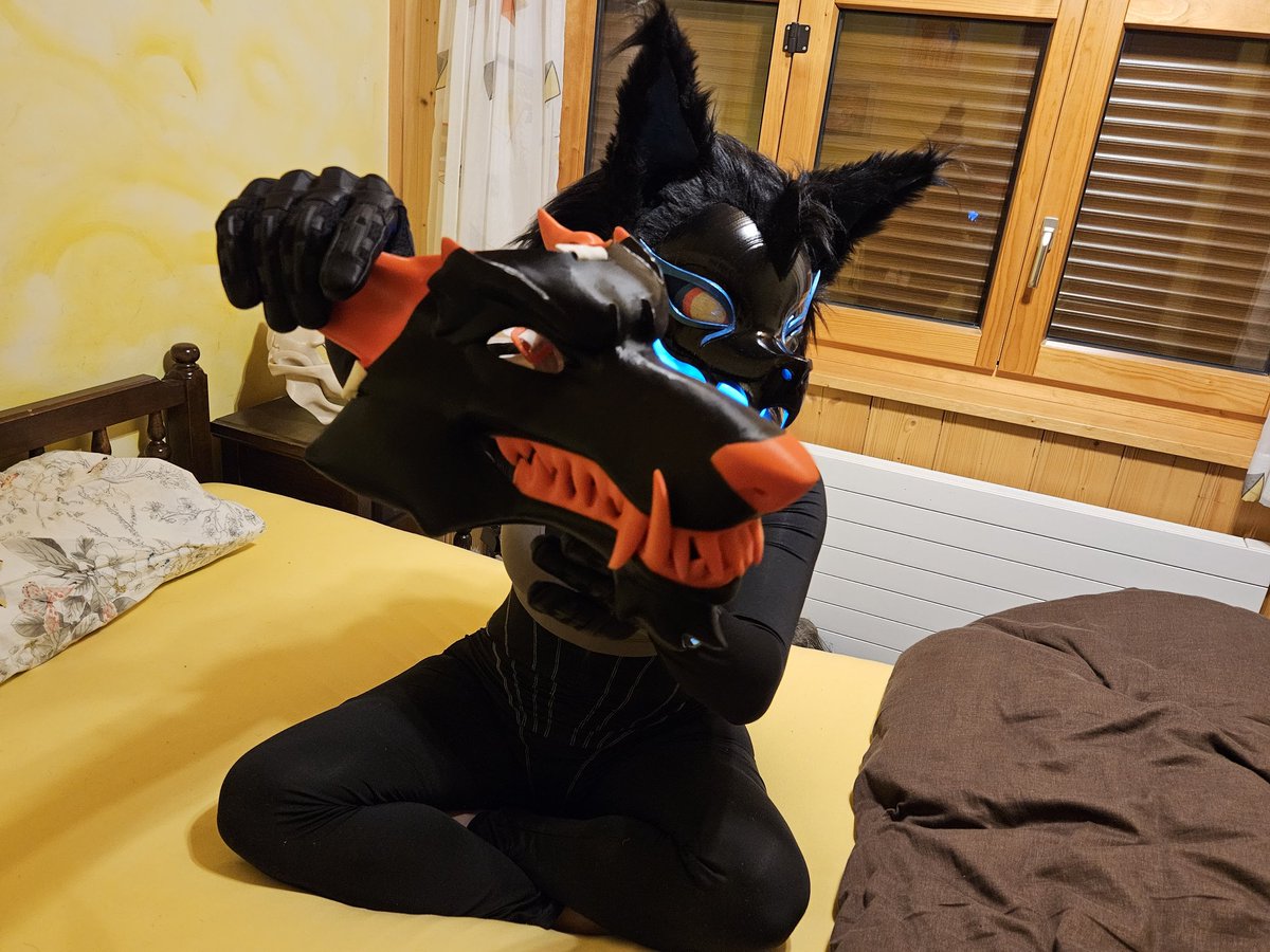 Highwire |fluffy| tweet media