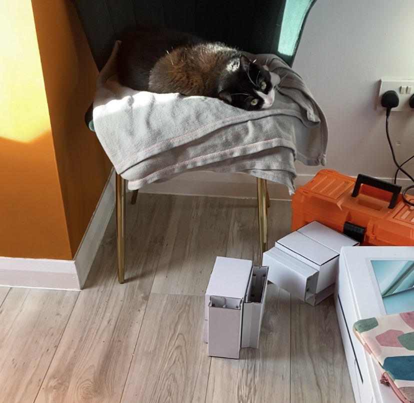 JustJess tweet media