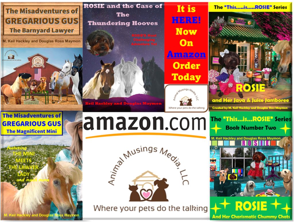 AnimalMusings-where the FUR PALS PRESIDE tweet media