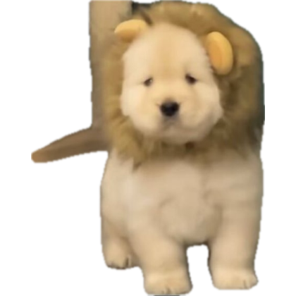 tonnyhahaha's tweet photo. เท่ระเบิด https://t.co/uR1q4kVUyv