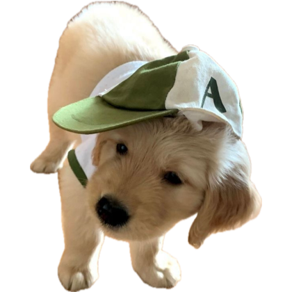 tonnyhahaha's tweet photo. เท่ระเบิด https://t.co/uR1q4kVUyv