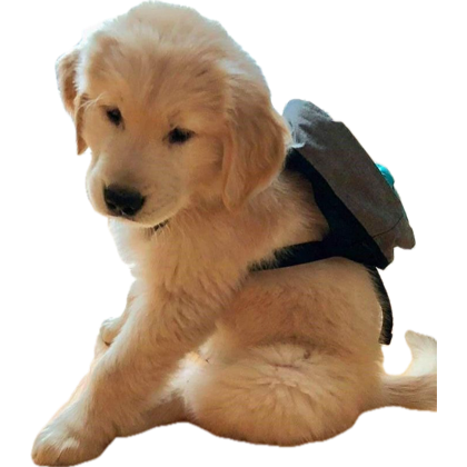 tonnyhahaha's tweet photo. เท่ระเบิด https://t.co/uR1q4kVUyv