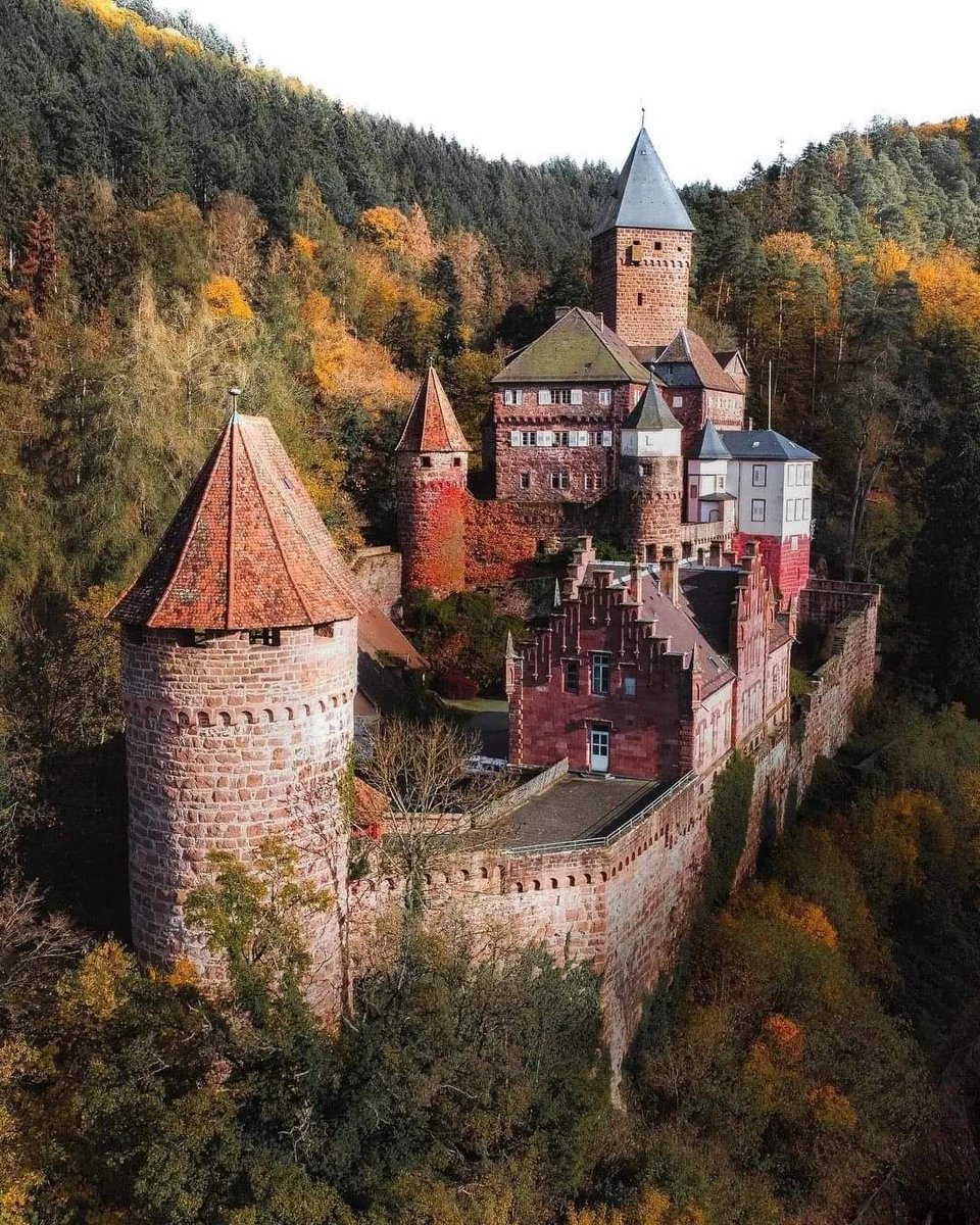 PontistGirl's tweet photo. Zwingenberg Castle. Germany 🇩🇪 
#architecture #castles https://t.co/oUZACX3tve