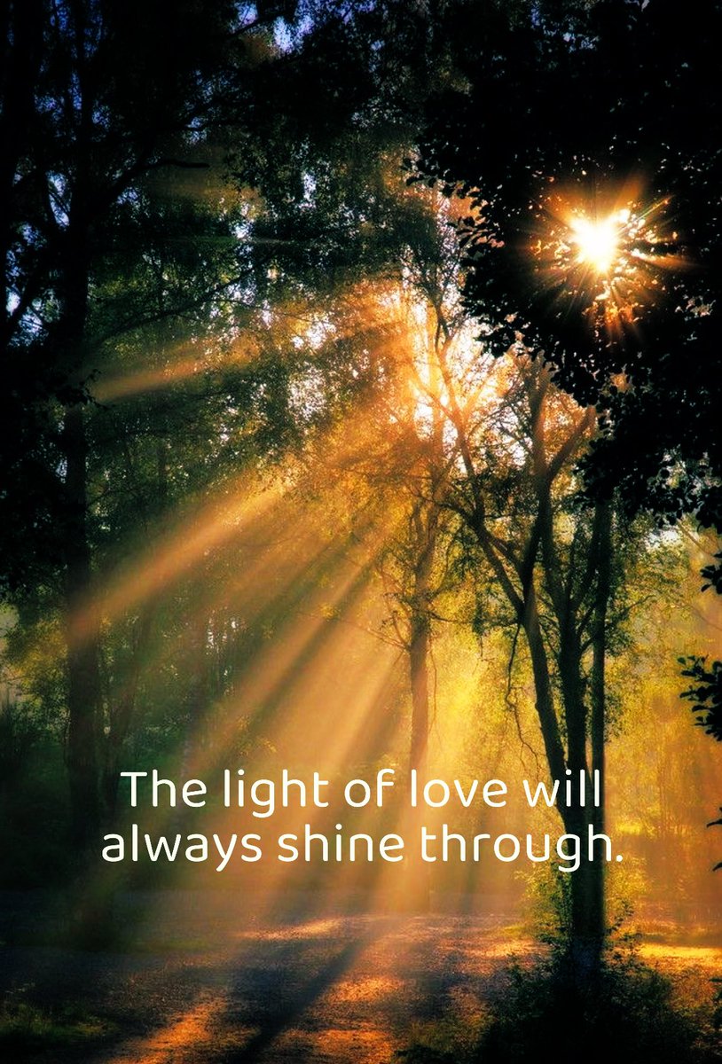 #DailyLoveNote 💛💛💛
The light of love will always shine through 

#HappyMonday everyone💛💛
  
#JoyTrain #MondayMotivation 
#LightUpTheLove #ShineOn 
#KindnessMattersッ #JOY 
#StarfishClub #Grateful4U #IDeclareWorldPeace #IDWP #MondayMood #ChooseLove