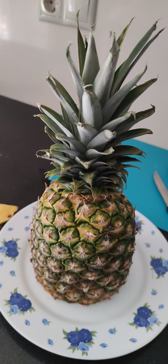 DukyToy's tweet photo. No se para vosotros, pero la piña para mí es...🤤 https://t.co/YWsMaZhybu