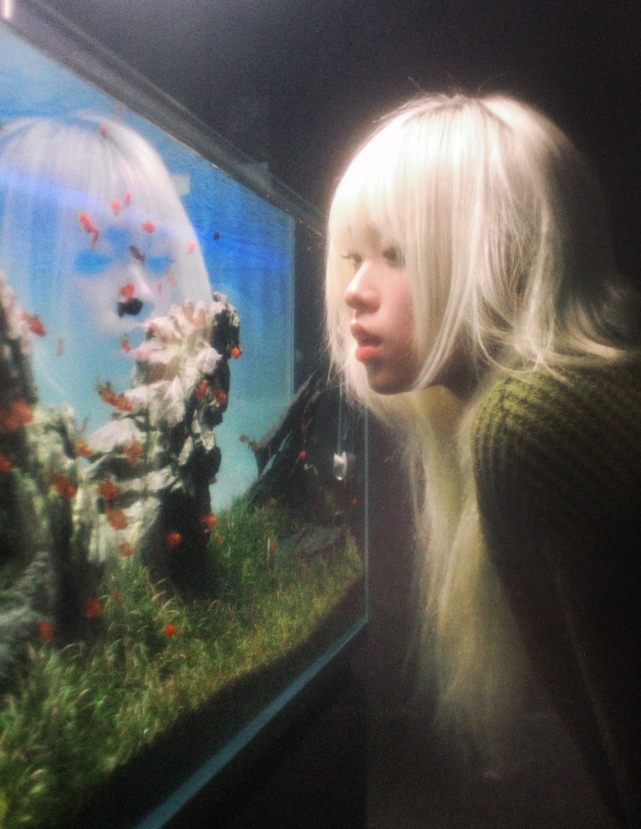 이른 イルン tweet media