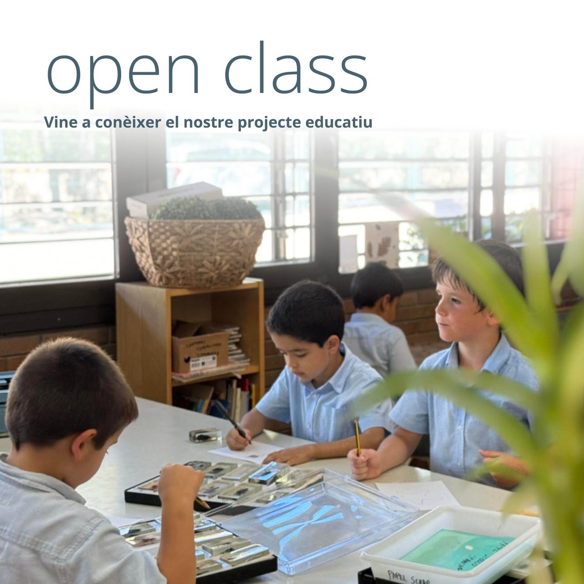 El divendres 19 de gener, de 14.15 a 16.30 h, convidem a tots els pares dels nens de i5 a visitar el Cicle Inicial de La Farga per conèixer la continuïtat del projecte educatiu a primària.

lafarga.institucio.org/ca/actualitat/…