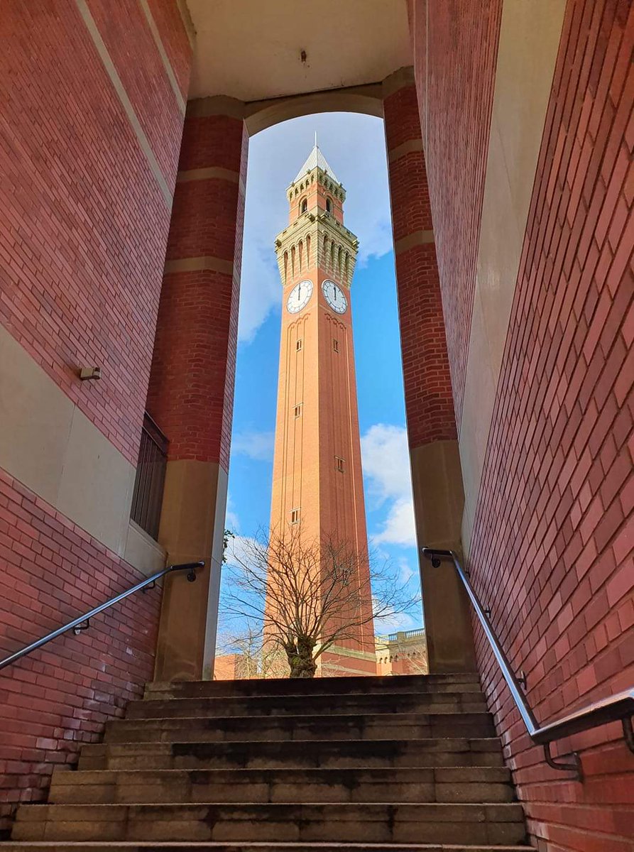 Adam Andrew Hayes tweet media