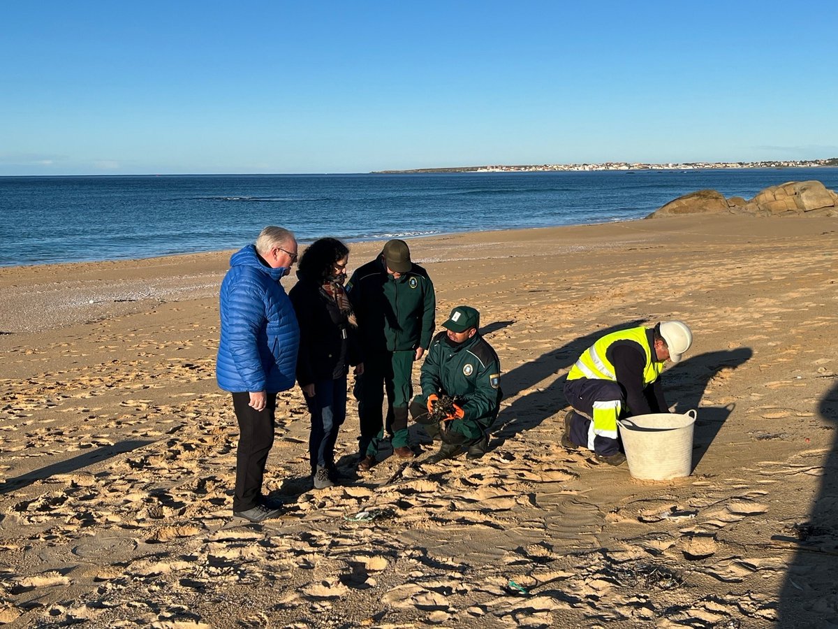 Activados los <a href="/VRN_Galicia/">VRN ( Gardas ) RECURSOS NATURAIS GALICIA</a> , #AxentesAmbientaisXunta y personal especializado al servicio de la xunta , para la detectar y proceder a la retirada de los pellets plásticos que en las ultimas jornadas están llegando a la costa gallega.