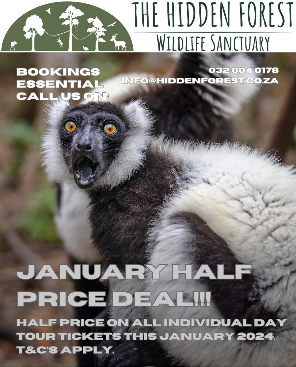 HiddenForestKZN's tweet photo. 🌲🐒Embark on an adventure this January 2024 with our scorching hot deal!! 🔥🔥 
Enjoy a wild escape at The Hidden Forest Wildlife Sanctuary and grab a whopping 50% off your individual day tour ticket!!🤩 
DON’T MISS OUT! T&amp;C’S Apply.
For bookings - call us on 032 004 0178 🔥 https://t.co/gmrvmMZmqY