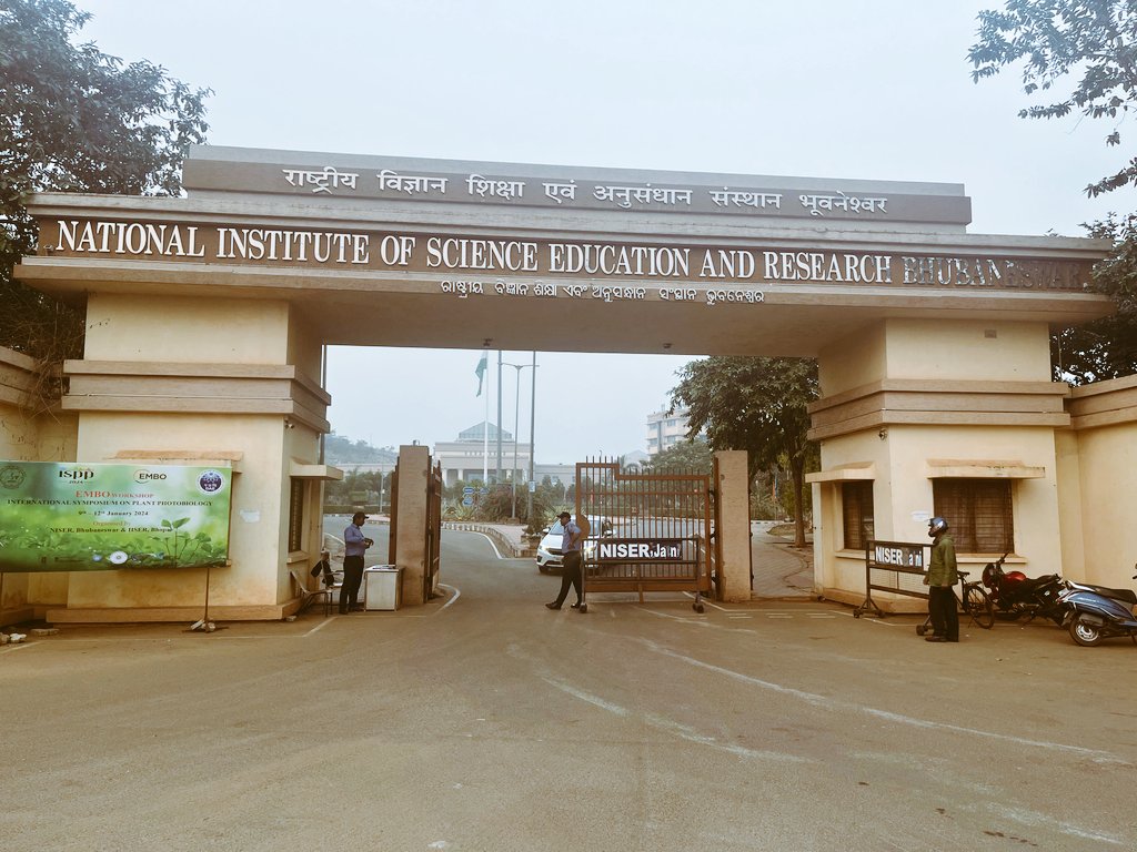 ISPP2026 - @ispphotobiology.bsky.social tweet media