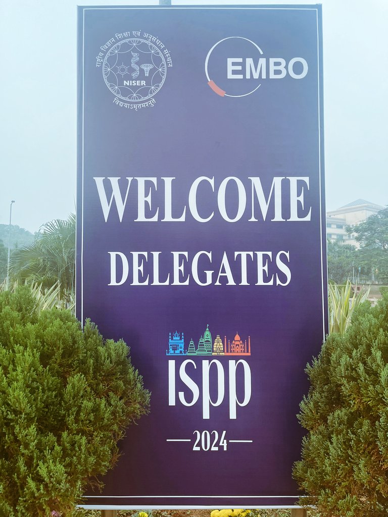 ISPP2026 - @ispphotobiology.bsky.social tweet media