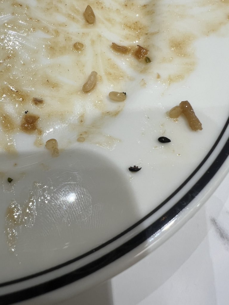 volapcious's tweet photo. Today me and my husband went to dine at a very fancy restaurant named #Paul  located at #Phoenixmall, #LowerParel, #Mumbai to our dismay we found weevil in our rice &amp; the staff seemed very casual about it and said it’s black sesame so I took a photo to show you’ll https://t.co/AXWRKlLGxv
