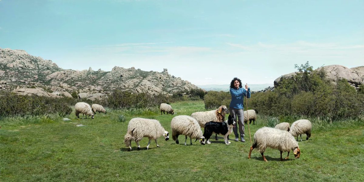 ACTUALIDAD 🆕 El cordero: tradición, competición e innovación. 🐏

No te pierdas el último #reportaje #SomosORIGEN #cordero #carnedecordero #carnelechal #innovación #tradiciónculinaria
<a href="/Interovic/">@Interovic</a>

✍️<a href="/cepedaOn/">Luis Cepeda</a>

Más info ⬇️
origenonline.es/reportajes/el-…