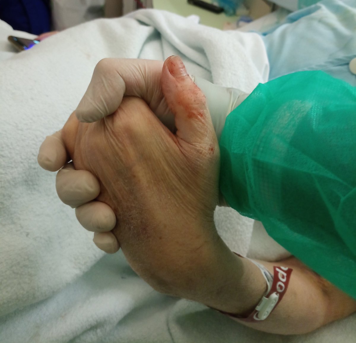 Pablo Dominguez tweet media