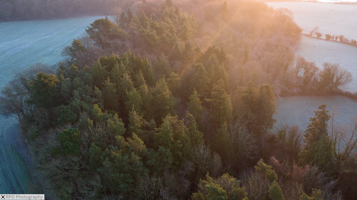 PhotographyRpd's tweet photo. #midleton #dronephotography #coilte #bordfailte #woods #waterways #midletondistillery #holyrosarychurch #eastcork #corkbeo
A few shots of Midleton (in East Cork) during the recent frosty weather https://t.co/a6GLFgdekN