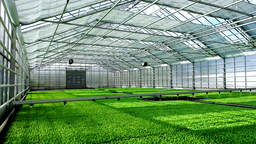 WorldlyHQ's tweet photo. Dear farmers, what do you see as more advantageous between indoor farming and outdoor farming? https://t.co/40tf3NbmTu