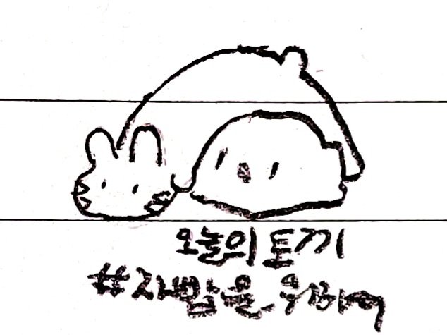 오늘의 토끼 tweet media