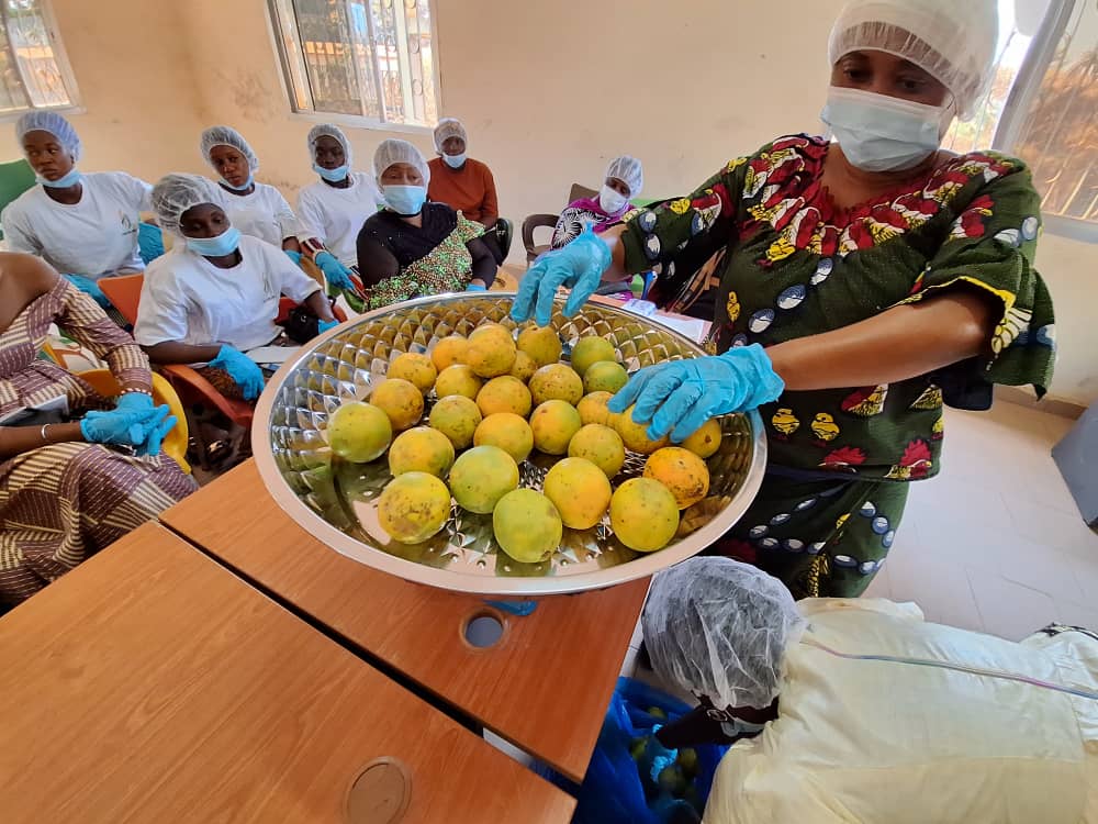 Jamilafondation's tweet photo. Nzerekore's #SPI_TGC women beneficiaries are mastering the art of crafting top-notch orange juice. Thanks to #RioTintoSimfer, the SPI-TGC project has equipped 300 women with valuable skills in agriculture and food processing.  #Empowerment #SkillsTraining @Presidence_gn https://t.co/5vlZwXVm6T